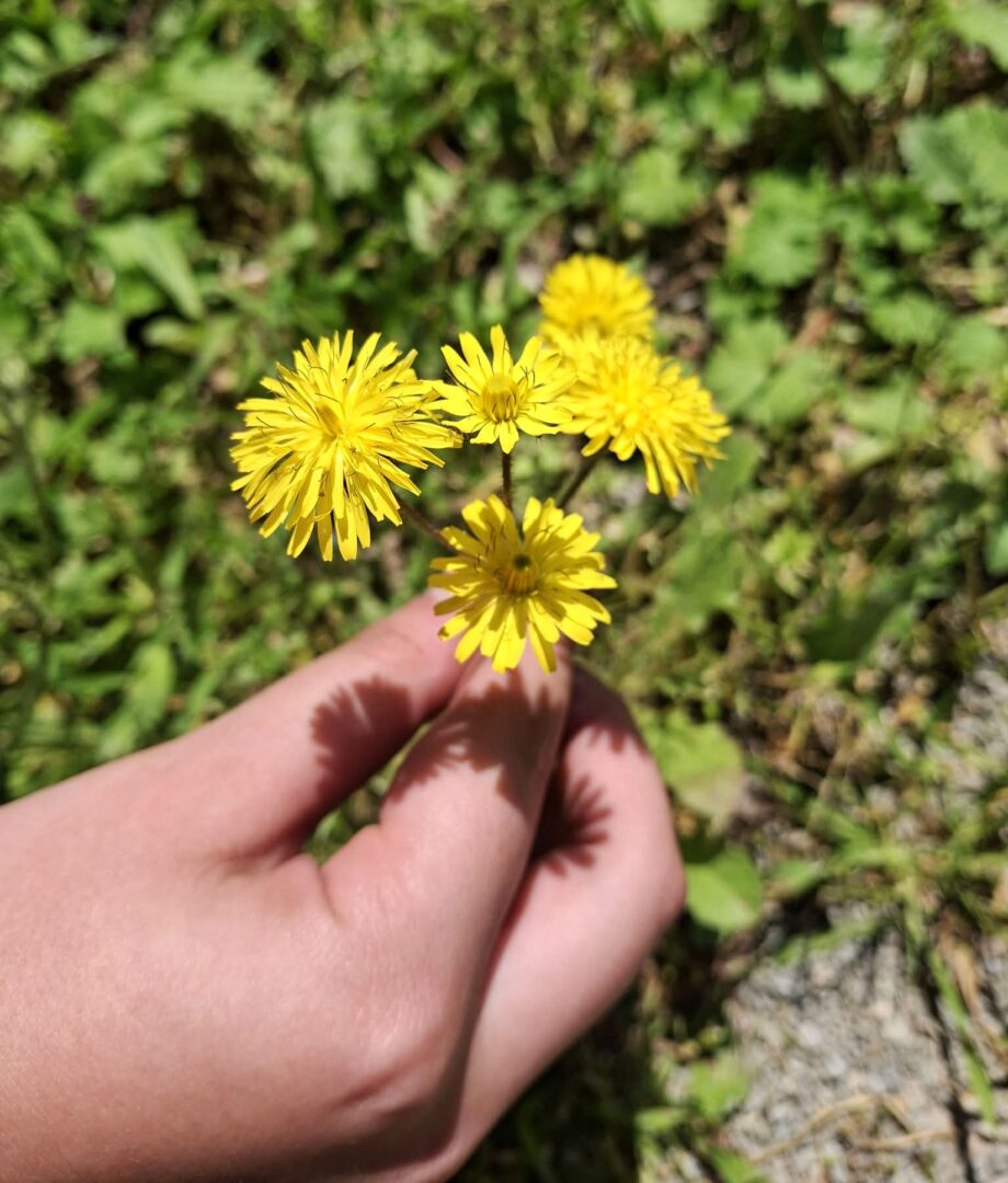 dc90263a-c57d-4796-bf86-96344764701f